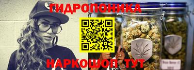 стаф Пенза