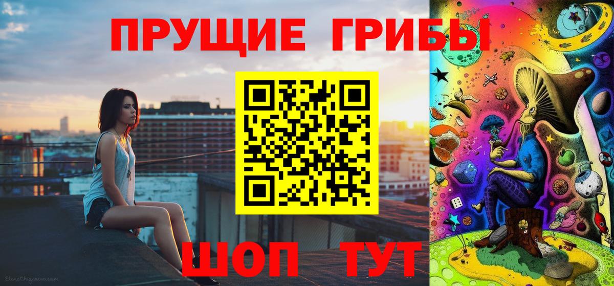 Галлюциногенные грибы Psilocybine cubensis Ачинск
